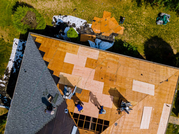 Best Affordable Roofing Company  in Ceredo, WV
